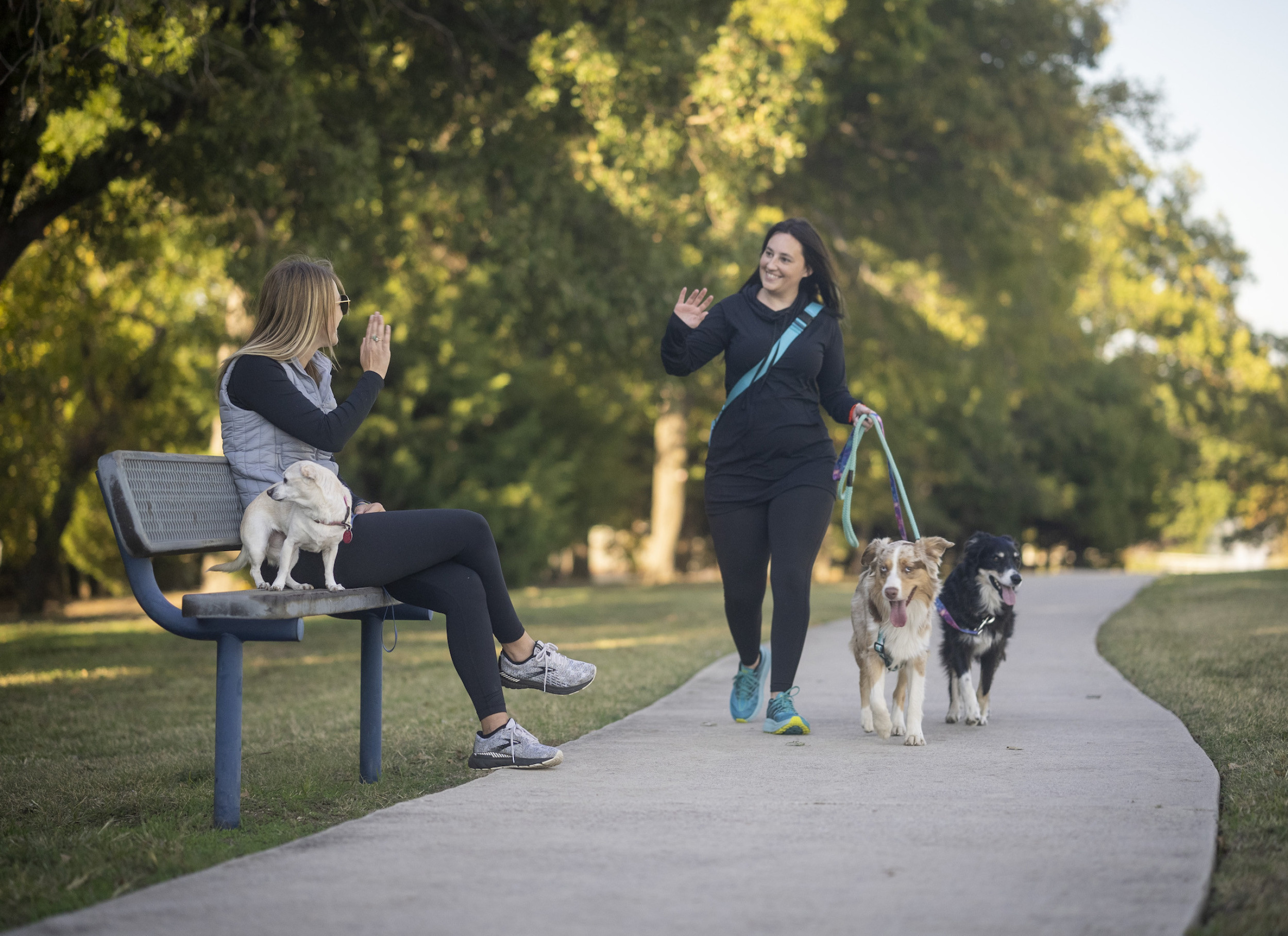 Women with dogs in a park waving at each other